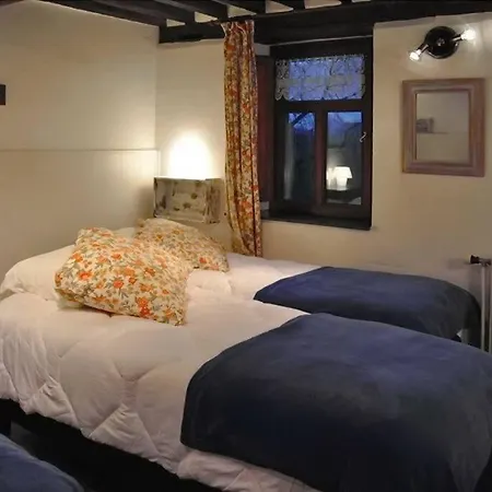 Le Chat Roi - Charneux *